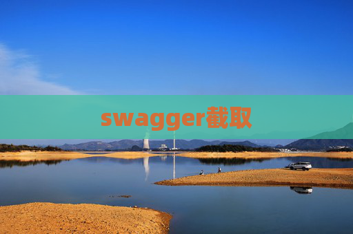 swagger截取